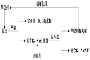 鹵水中鉀和鋰的預富集萃取體系及預富集方法