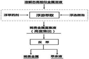 基于浮游萃取的溶解態高相似稀貴金屬富集分離方法