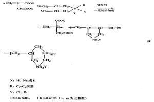 水溶性有機兩性高分子共聚物及制備方法