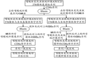 用于檢測嗜酸硫桿菌的引物對及設計方法與檢測方法