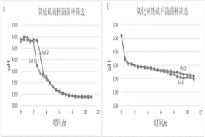 嗜酸性混合菌種及其快速制備方法和應用