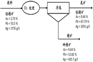 通過臭氧處理和反浮選從鉛精礦中去除砷
