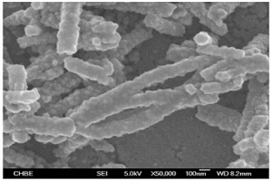 利用導電高分子納米纖維從電子廢棄物中回收金屬的方法