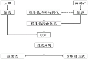 利用云母促進黃銅礦微生物浸出的方法