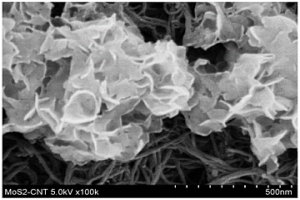 MoS<Sub>2</Sub>/CNT復合膜的制備方法和應用