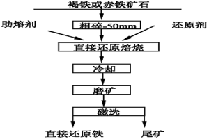 用大粒度褐鐵和赤鐵礦石生產直接還原鐵的工藝方法