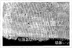 平行雙螺桿擠出機用全披覆熔覆性螺紋元件