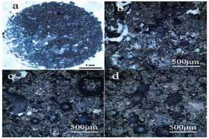高溫膠真空封裝鐵焦后定量分析表面氣化反應的方法