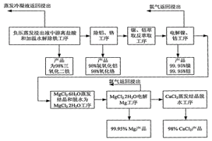將紅土鎳礦各組分轉化為產品的濕法冶金方法