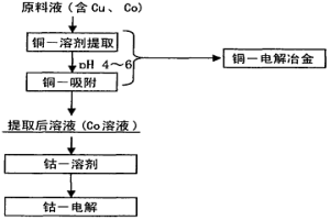 含銅水溶液中所含的鈷的回收方法
