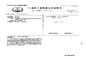 復合固體燃料