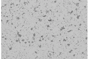 鈦元素改性Ti<sub>3</sub>SiC<sub>2</sub>增強銅基受電弓滑板的制備方法