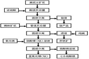 從紅土鎳礦中回收鎳、鈷、鐵、硅和鎂的方法