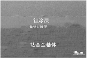 表面包覆鉭涂層的醫用多孔鈦或鈦合金材料的制備方法
