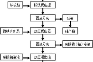 通過聯合浸出工藝從紅土鎳礦中回收鎳、鈷、鐵和硅的方法