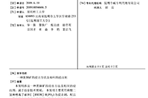 黃銅礦的浸出方法及相應的浸出劑