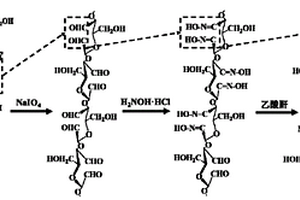 2,3-二氰基納米纖維素及其制備方法與應用