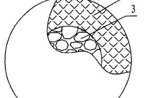 內腔泡狀結構的中空體