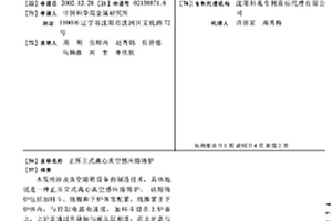正壓立式離心真空感應熔鑄爐