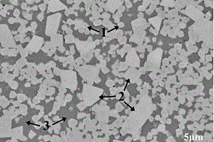具有雙尺度雙形態硬質相晶粒的Mo<Sub>2</Sub>FeB<Sub>2</Sub>基金屬陶瓷及其制備方法