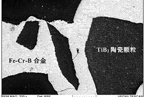 TiB<Sub>2</Sub>增強Fe-Cr-B合金基復合襯板的制備方法