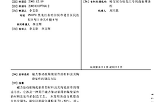 磁力驅動泵陶瓷泵件的材料及其陶瓷泵件的制造方法