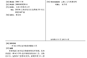 SIC/CNTS復合陶瓷的制備工藝