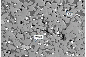 WCoB-B<sub>4</sub>C陶瓷基復合材料的制備方法