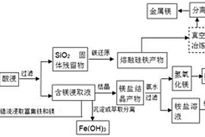 利用含硅鎂礦物中的MgO/SiO2通過碳原位高溫還原反應提取金屬鎂的方法