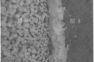 雙層負溫度系數熱敏電阻及其制備方法