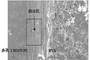 多孔超高分子量聚乙烯與仿生軟骨結合的材料及制備工藝