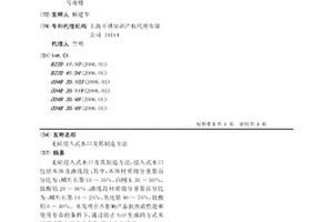 無硅浸入式水口及其制造方法