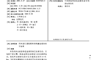同時進行通氦攪拌的熔融金屬的真空處理