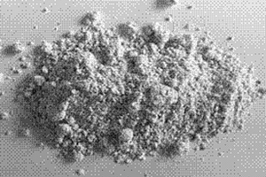 茶葉果的利用方法及其產品