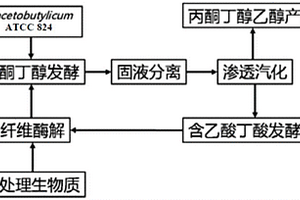 減少丙酮丁醇乙醇發酵廢液排放的方法