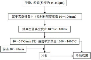 真空強化高硫石油焦脫硫的方法