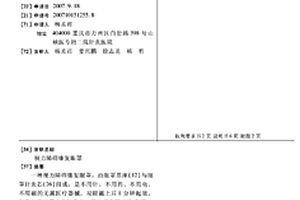 視力障礙康復眼罩