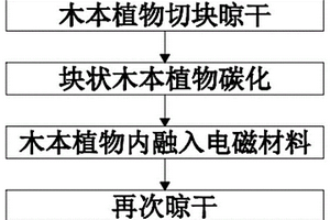 木本植物基復合型電磁功能材料及其制備方法