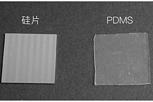 具有長程取向結構或復雜結構的多孔材料的制備方法