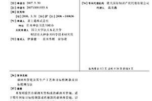 碳納米管鏈及其生產工藝和目標檢測器及目標檢測方法