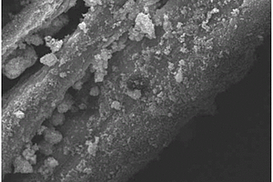 生物質基二氧化鈦光催化劑的制備方法