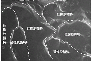 具有隔離結構的硅橡膠納米復合材料及其制備方法