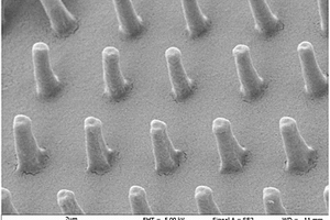 3D生物蛋白及其制備方法和應用