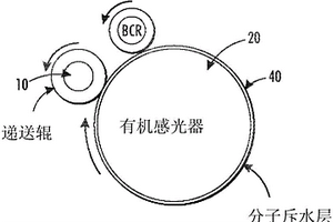 穩定化聚合物來控制功能材料從遞送構件中的被動滲出