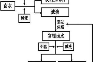 從鹵水中提取鎂、鋰同時生產水滑石的工藝方法