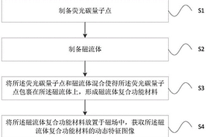 熒光碳量子點輔助的磁流體動態特征圖像觀測方法和裝置