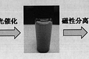 以鋸齒形納米結構為載體形成易分離、可循環使用的復合功能納米材料