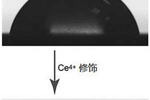 基于Ce<sup>4+</sup>的表面修飾塑料模板的制備方法及其應用
