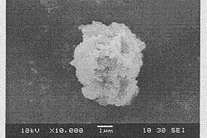 C18/Fe3O4復合磁性微球及其制備方法與應用