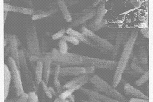 低溫濕化學制備氧化鋅納米棒的方法